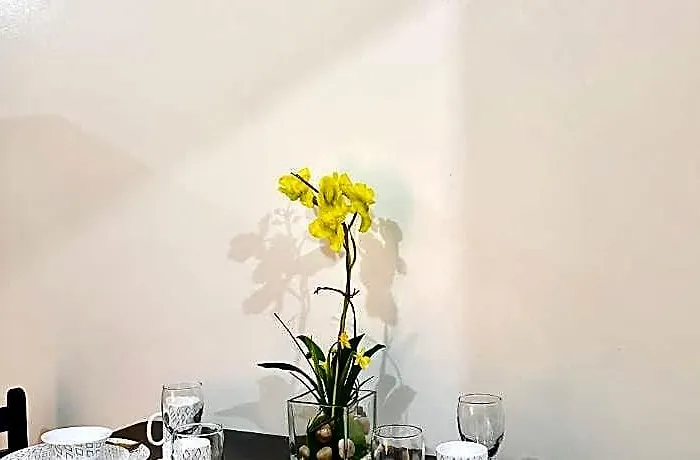 Hotel Shore 2 - Close To Moa And Ikea W/free Wifi! Manille