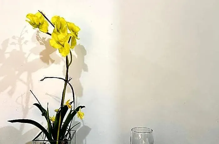 Shore 2 - Close To Moa And Ikea W/free Wifi! Hotel 3*